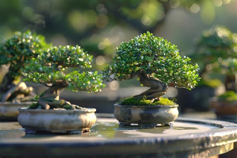  Quiet Moments: Cultivating Inner Peace Through the Art of Bonsai - Unveiling the Tranquil Whispers of Miniature Trees