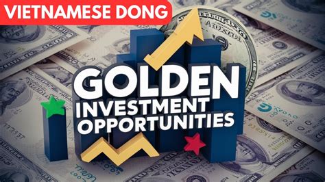 Unlocking Investment Opportunities: A Vietnamese Perspective